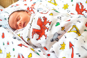 Welcome to Wales Baby Gift Set